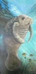 manatee.jpg